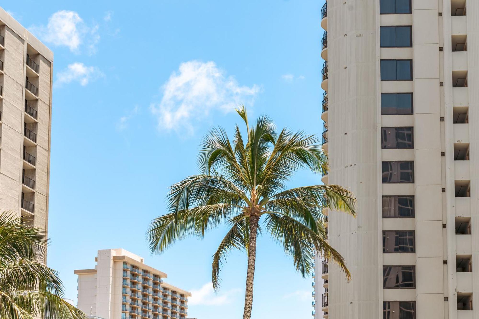 Mountain View Condo Near Beach With Free Parking! Honolulu Eksteriør bilde